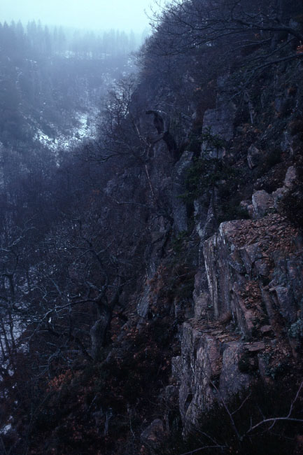 Söderåsen januar 1976