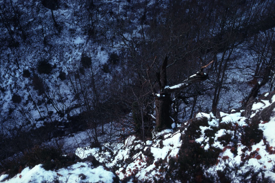 Söderåsen januar 1976