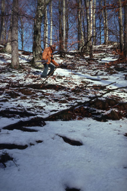 Söderåsen januar 1976
