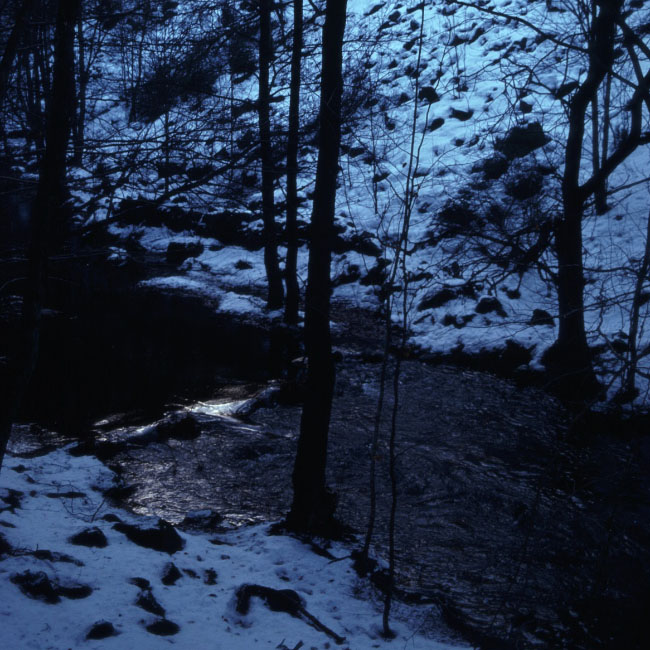 Söderåsen januar 1976