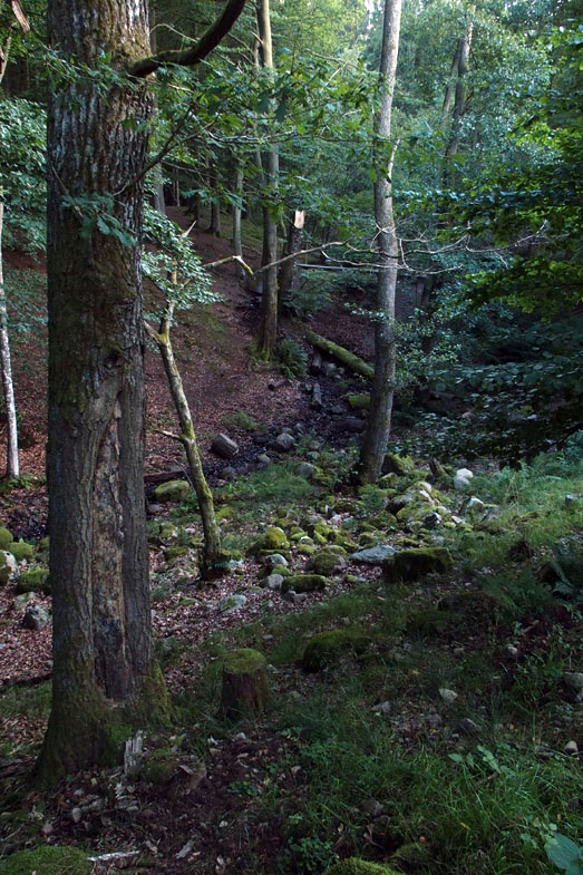 Söderåsen