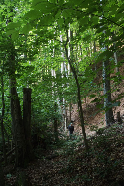 Söderåsen