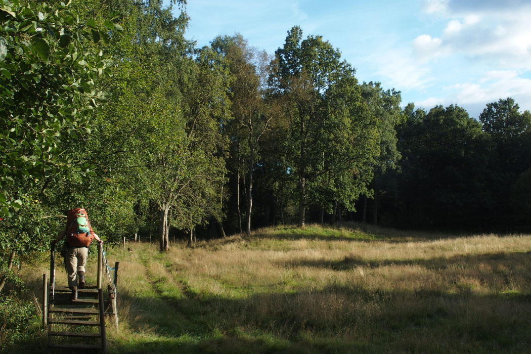 Söderåsen