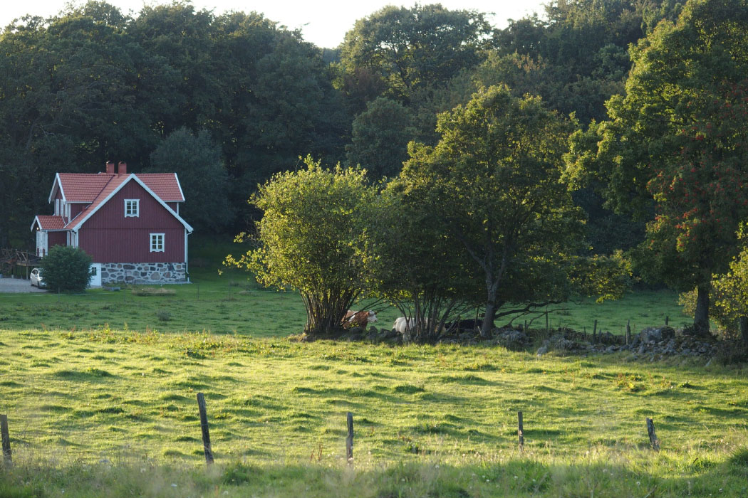 Söderåsen