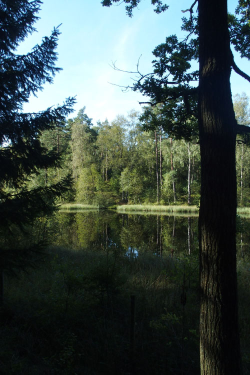 Söderåsen
