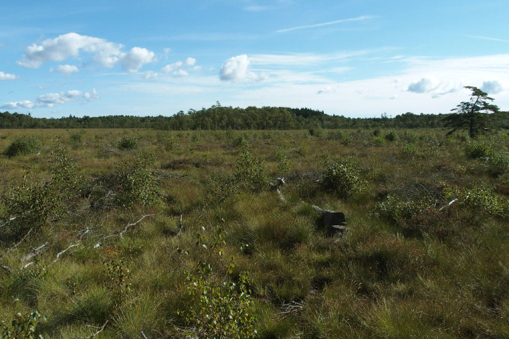 Söderåsen