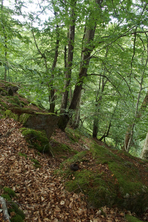Söderåsen