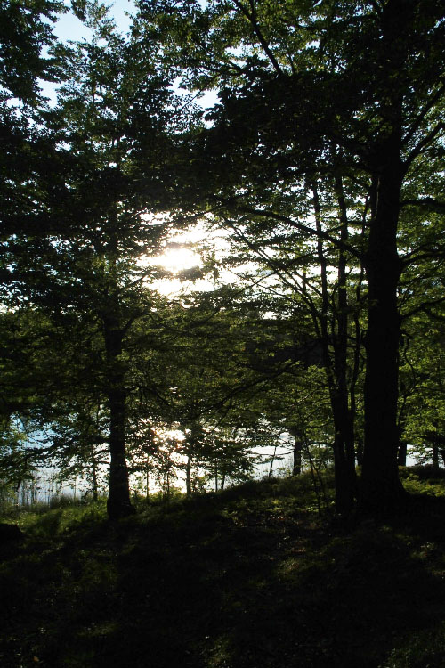 Söderåsen