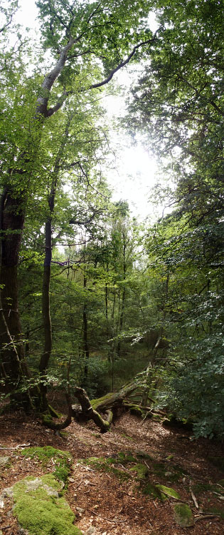 Söderåsen