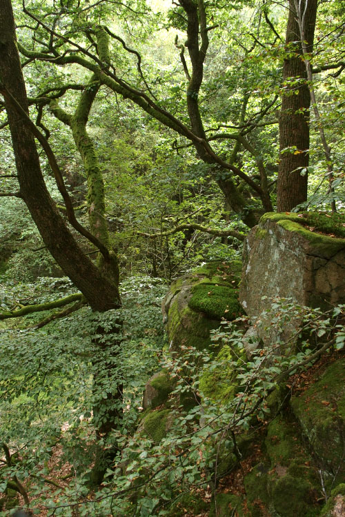 Söderåsen