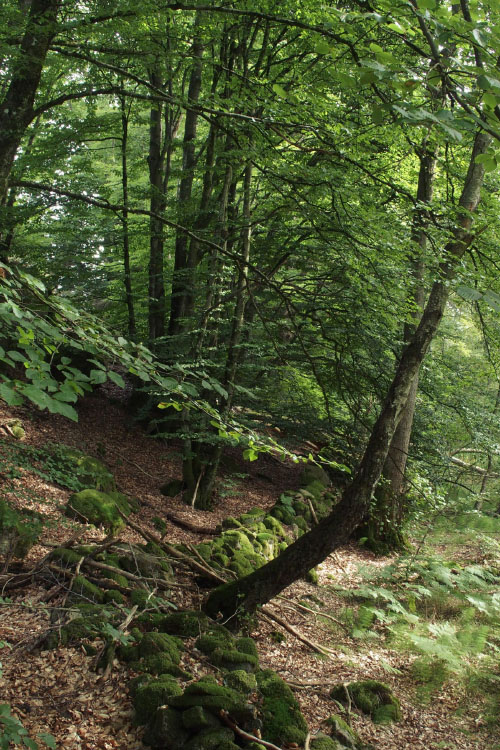 Söderåsen