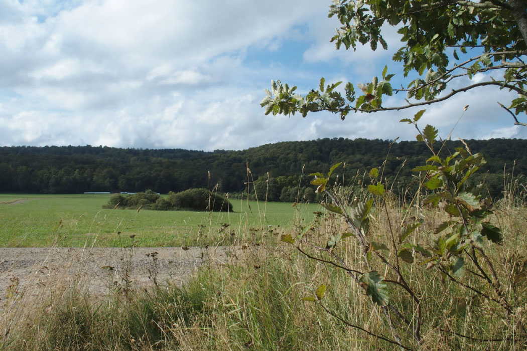 Söderåsen