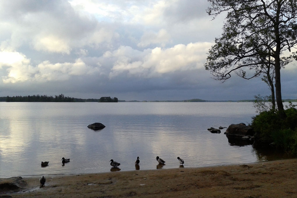 Småland juni 2015