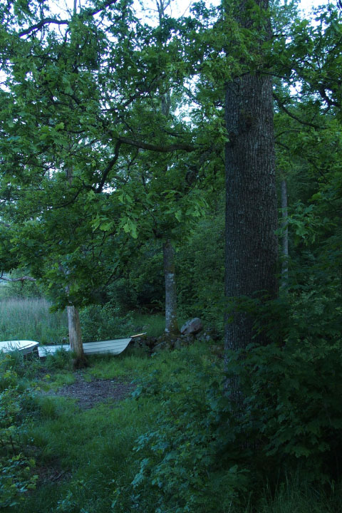 Småland juni 2015