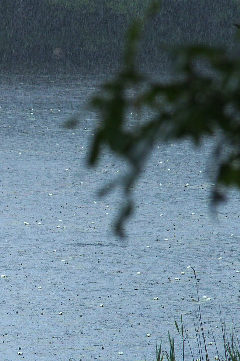 Småland juni 2015