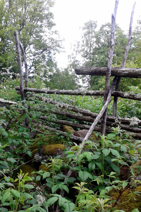 Småland juni 2015