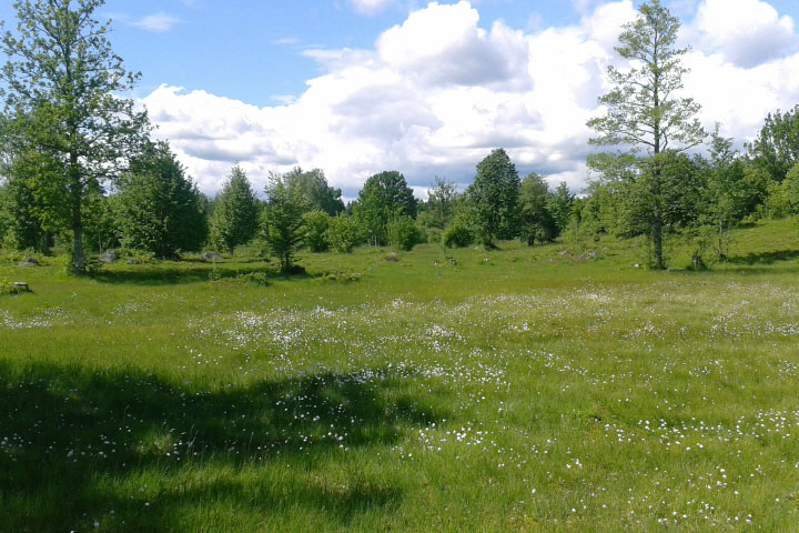 Småland juni 2015