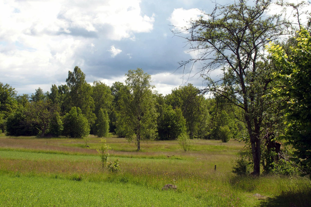 Småland juni 2015