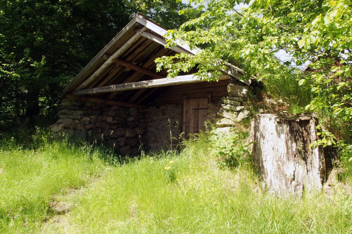 Småland juni 2015