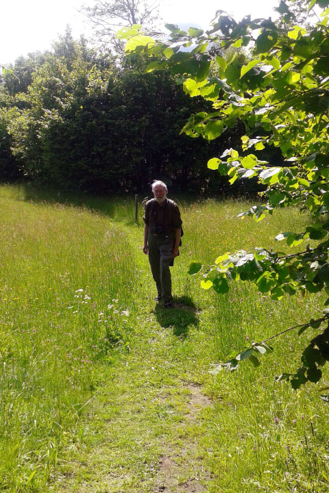 Småland juni 2015