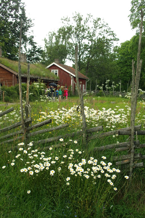 Småland juni 2015