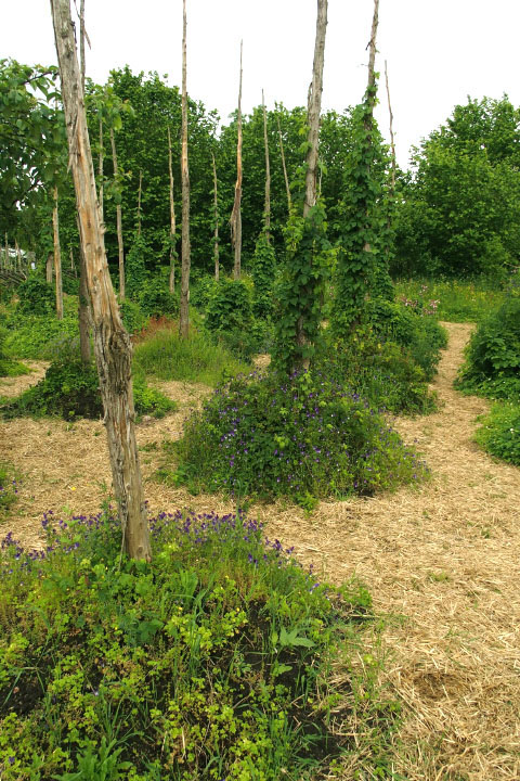 Småland juni 2015