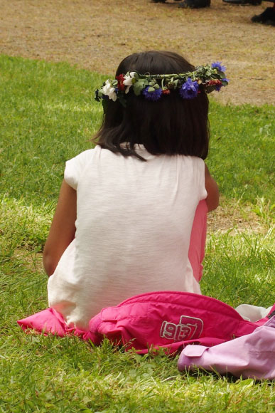 Småland juni 2015