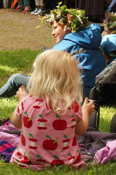 Småland juni 2015