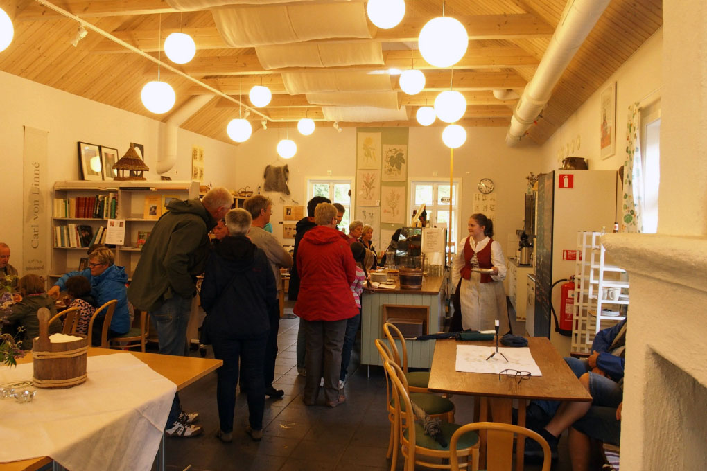 Småland juni 2015