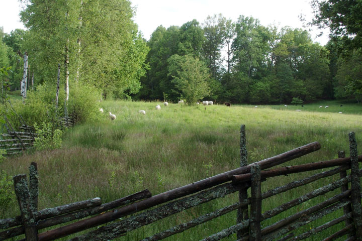 Småland juni 2015