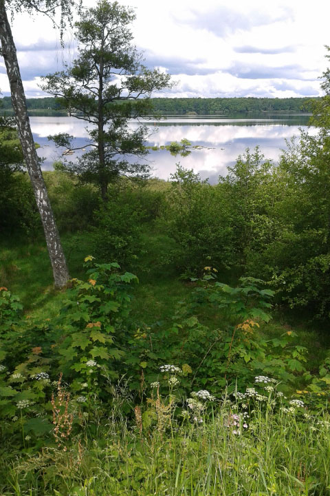 Småland juni 2015