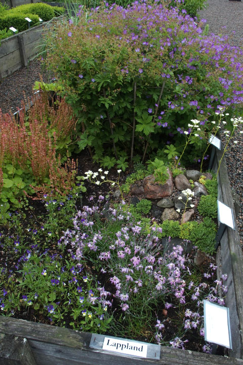 Småland juni 2015