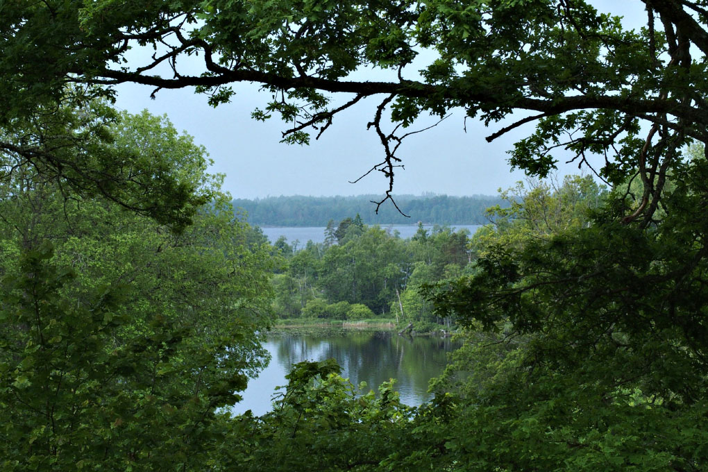 Småland juni 2015