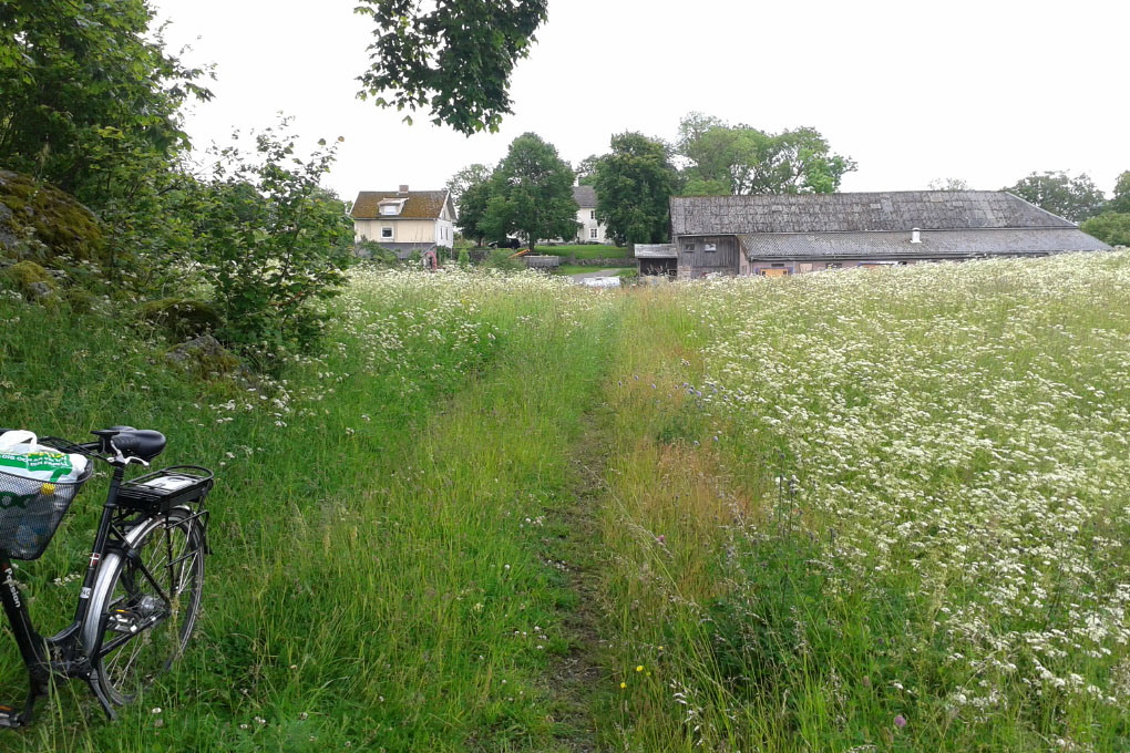 Småland juni 2015