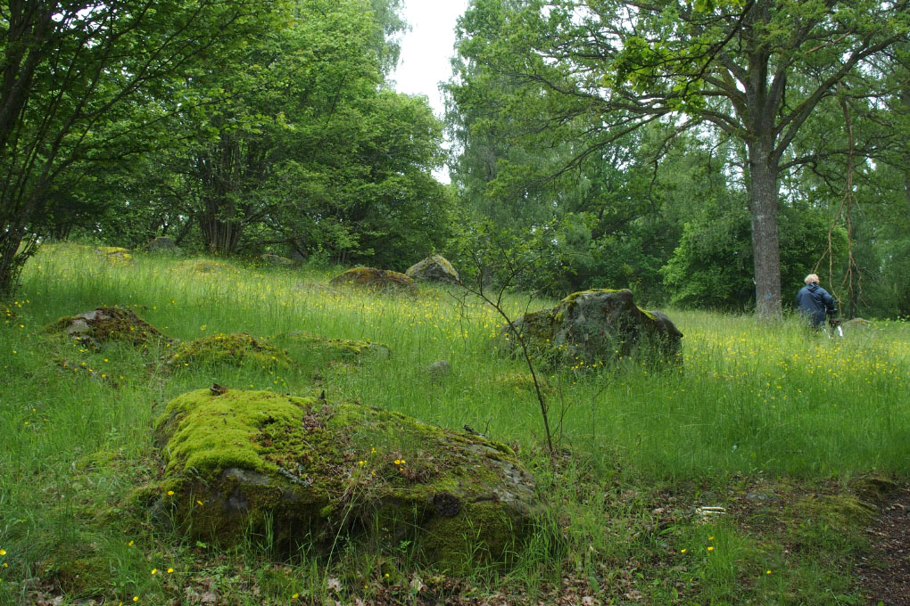 Småland juni 2015
