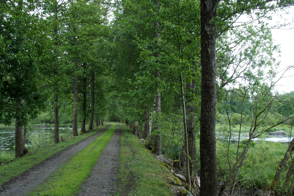 Småland juni 2015