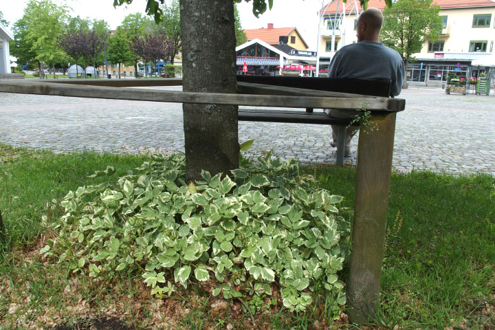 Småland juni 2015