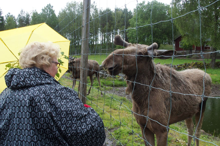 Småland juni 2015