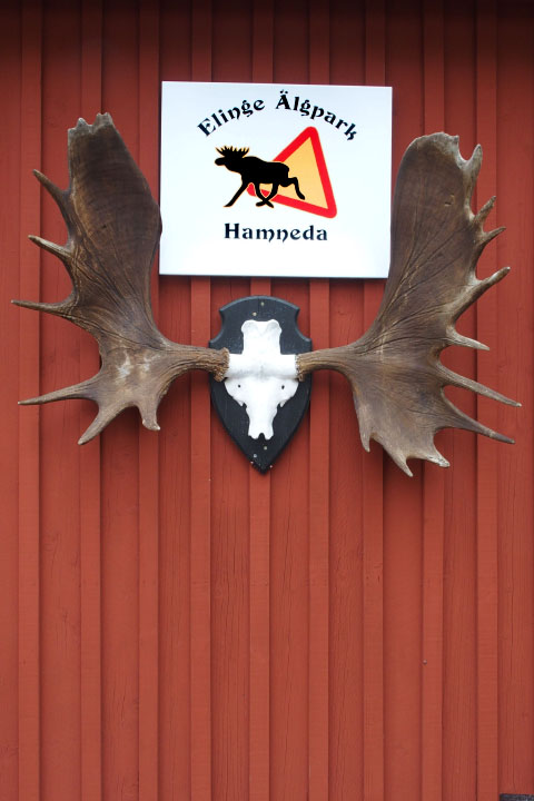 Småland juni 2015