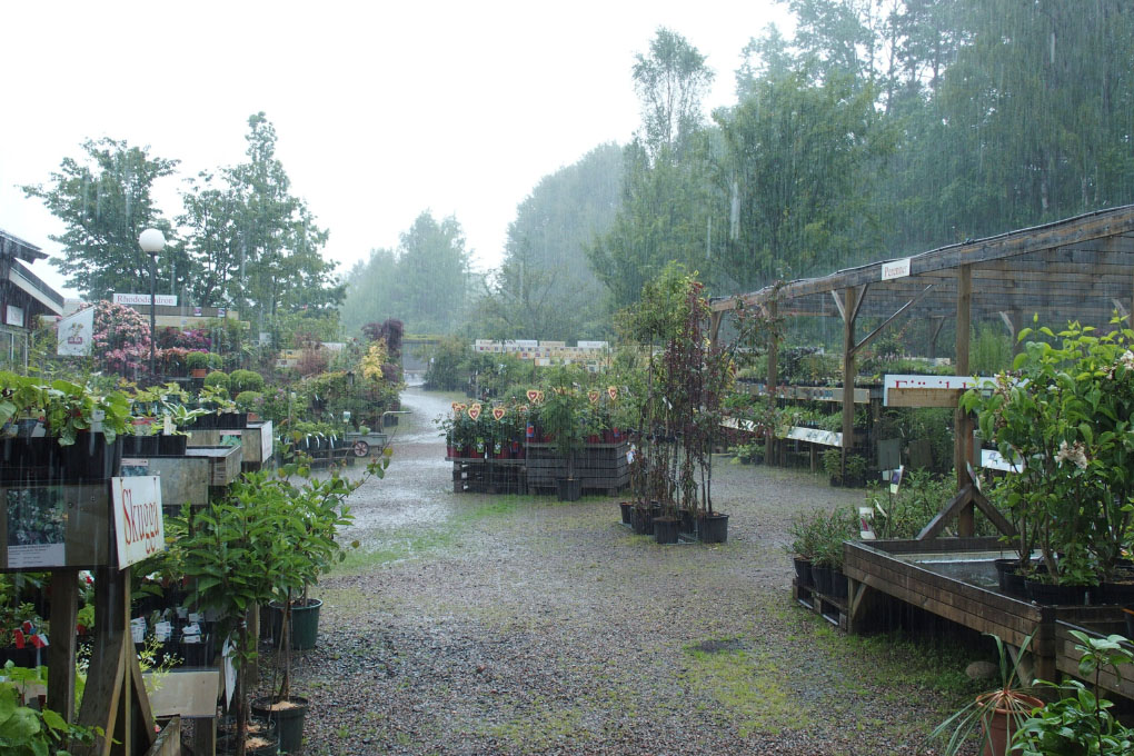 Småland juni 2015