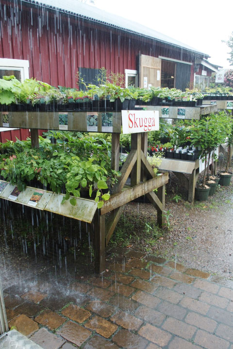 Småland juni 2015