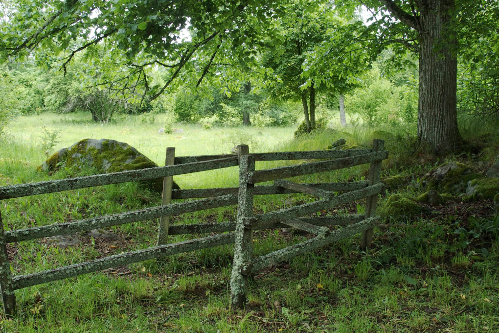 Småland juni 2015