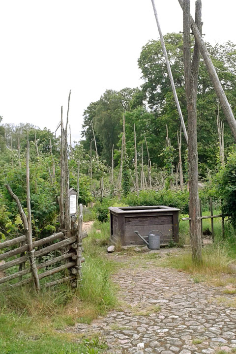 Småland juni 2015