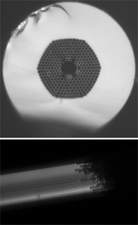 fiber analysis